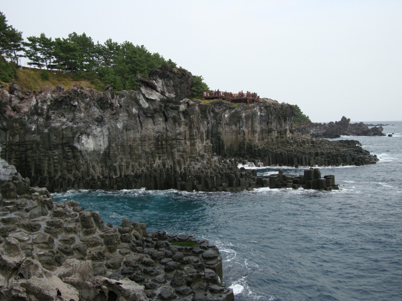[전국출발] 제주도 수국 기획 2박/3박 특가 패키지 국내여행