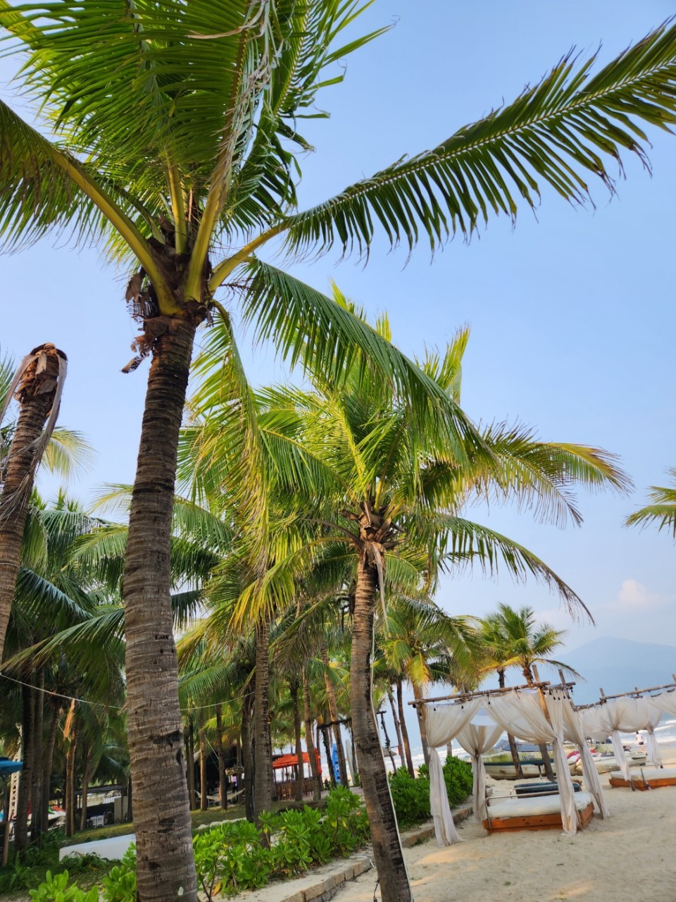 베트남 다낭/호이안 노팁노옵션 3박 5일 패키지 부산출발 해외여행