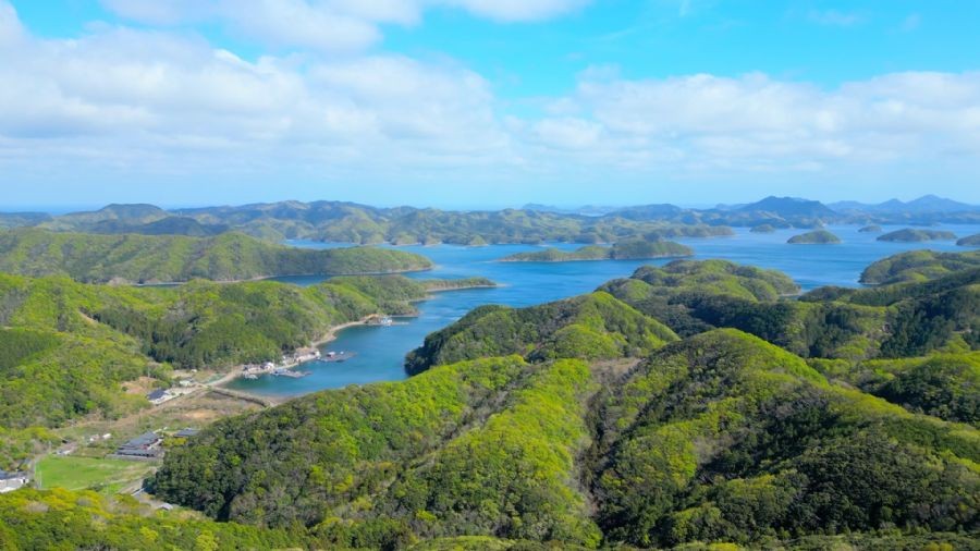 [부산출발] 4/29 대마도 당일여행 관광쇼핑 면세점 일본여행 가볼만한곳 버스투어