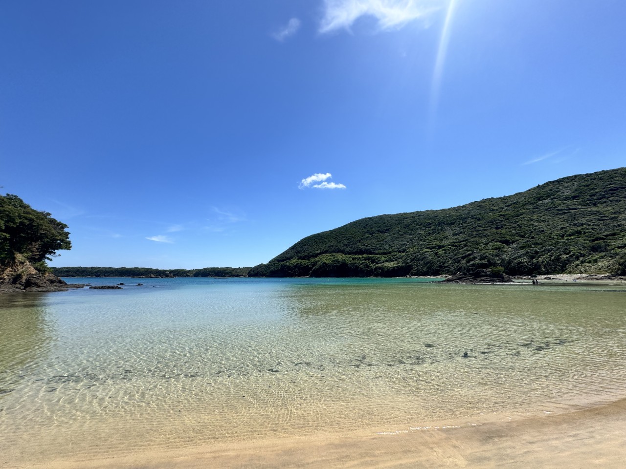 [부산출발] 4/29 대마도 당일여행 관광쇼핑 면세점 일본여행 가볼만한곳 버스투어