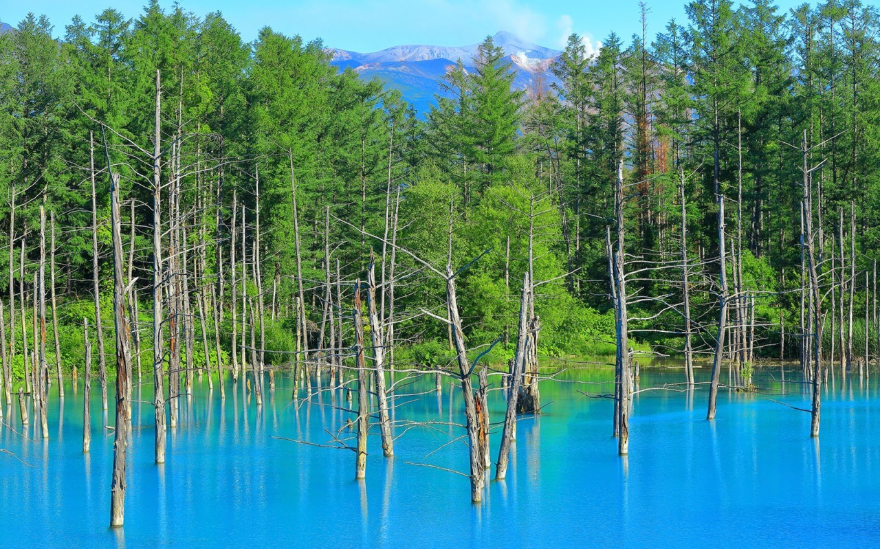 [부산출발] 일본 북해도 온천호텔 3박4일 가족여행 패키지 해외여행