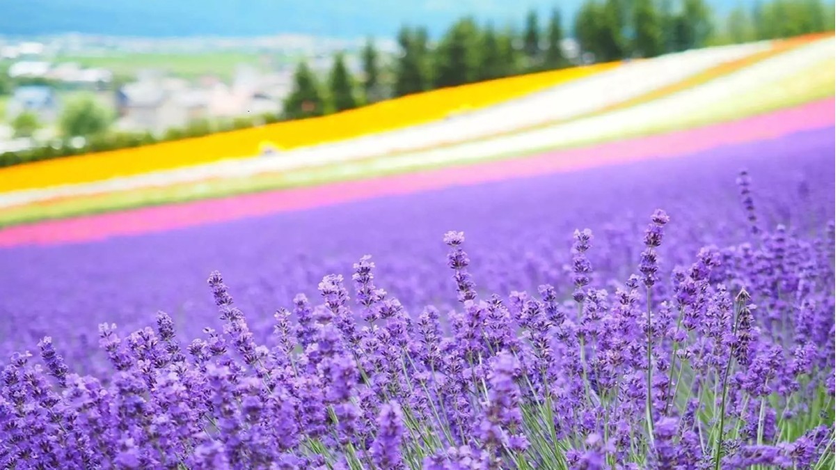 [부산출발] 일본 북해도 온천호텔 3박4일 가족여행 패키지 해외여행