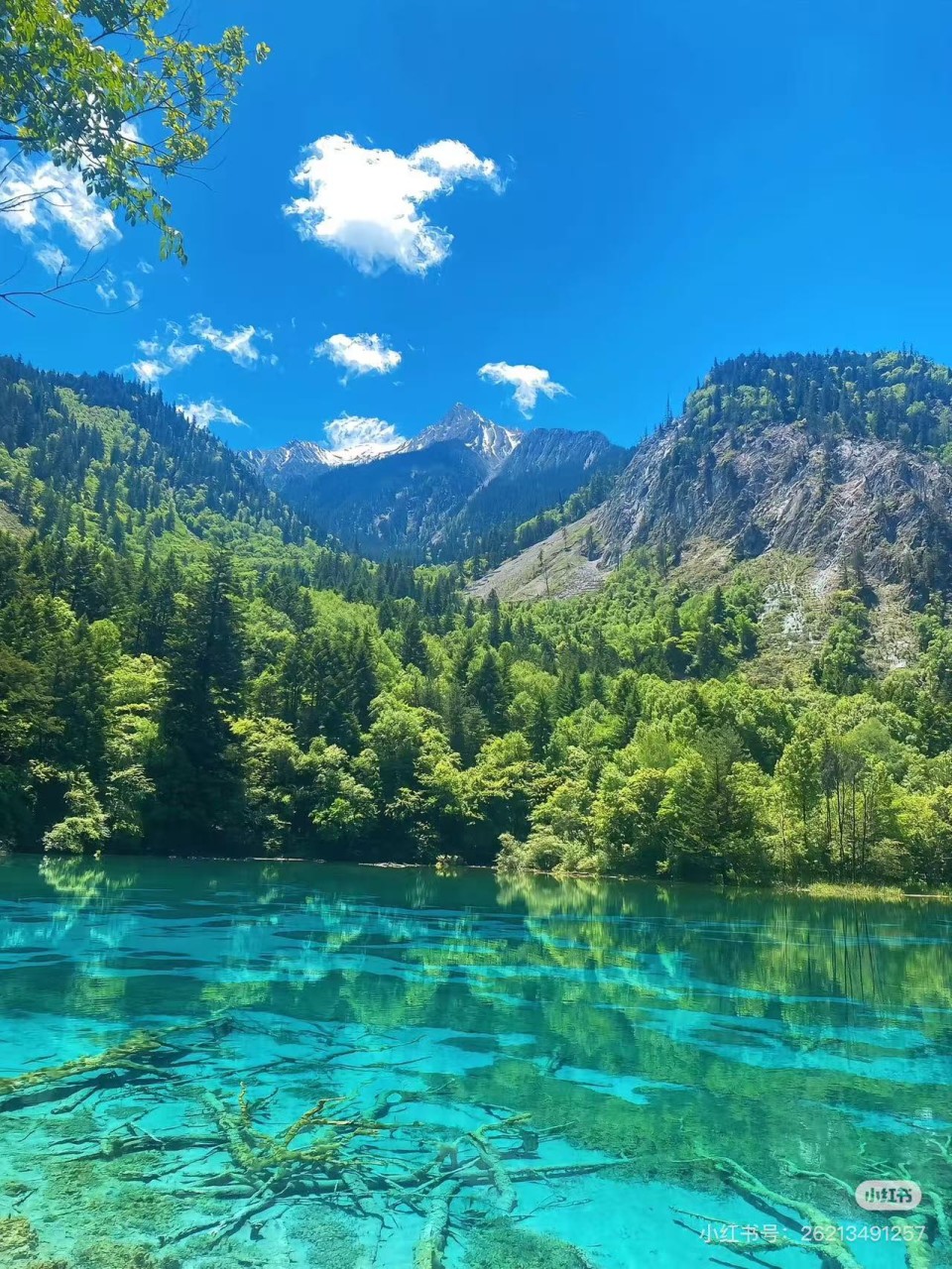 [부산출발] 중국 서안 구채구 3박/4박 패키지해외여행 가족여행 가볼만한 곳