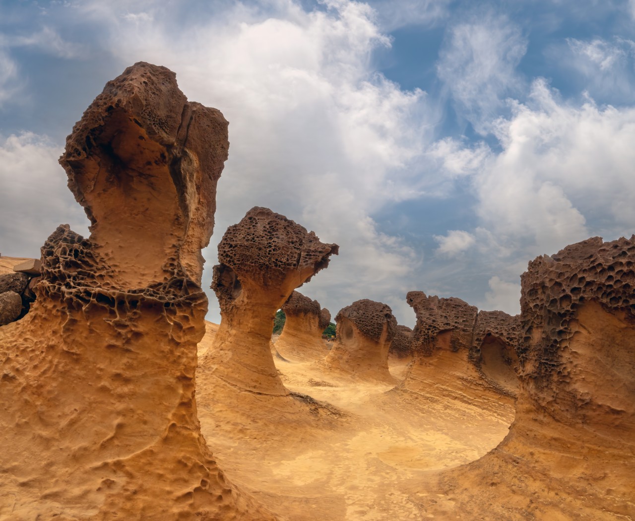 [부산출발 ] 중국 대만 미식투어 노쇼핑 노옵션 3박 4일 패키지 해외여행