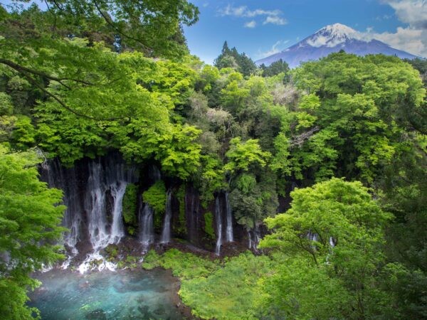 [부산출발] 일본 시즈오카/야마나시 2박/3박 패키지 해외여행