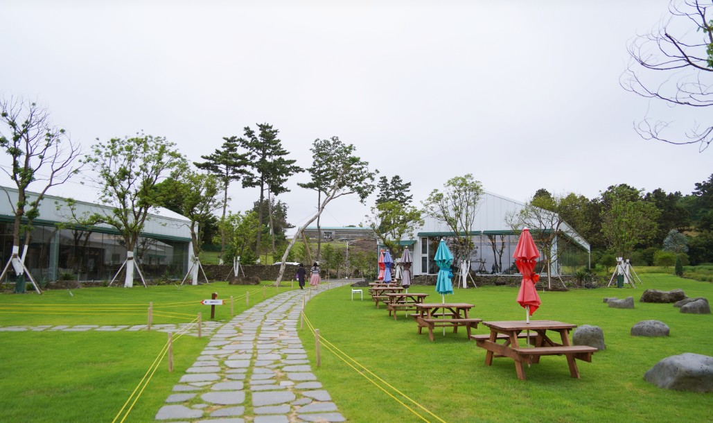 [전국출발] 제주도 여름에 수국산책 2일/3일/4일 패키지 국내여행