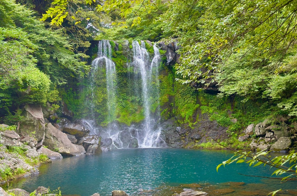 [전국출발] 제주도 여름에 수국산책 2일/3일/4일 패키지 국내여행