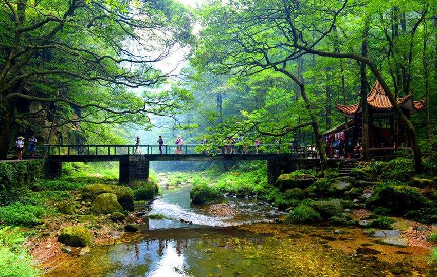 캔디투어[부산출발]코타키나발루 프리미엄 휴양 가야아일랜드 바유빌라 5일/6일 패키지 해외여행