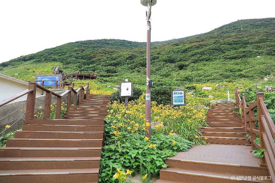 캔디투어[부산출발]환상의 섬 홍도 흑산도 1박2일 버스/유람선 관광 패키지여행