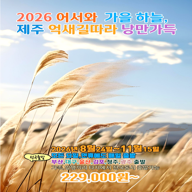캔디투어[전국출발]제주도 억새길따라 낭만가득 3박4일 국내 패키지여행