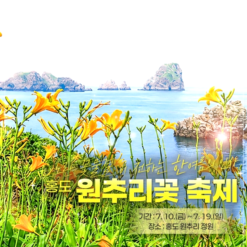캔디투어[부산출발]환상의 섬 홍도 흑산도 원추리꽃축제 1박2일 버스/유람선 관광 패키지여행