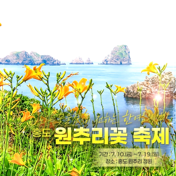 캔디투어[부산출발]환상의 섬 홍도 흑산도 원추리꽃축제 1박2일 버스/유람선 관광 패키지여행
