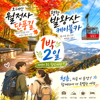 캔디투어[부산경남출발]오대산 월정사 단풍길+평창 발왕산케이블카 1박 숙박 식사 가을버스여행
