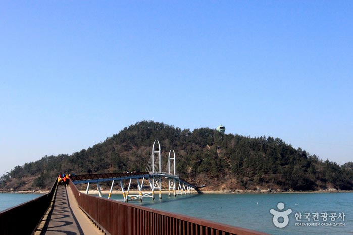 캔디투어[부산경남출발]전라남도 한바퀴 먹방투어1박 숙박 식사 맛있는 버스여행