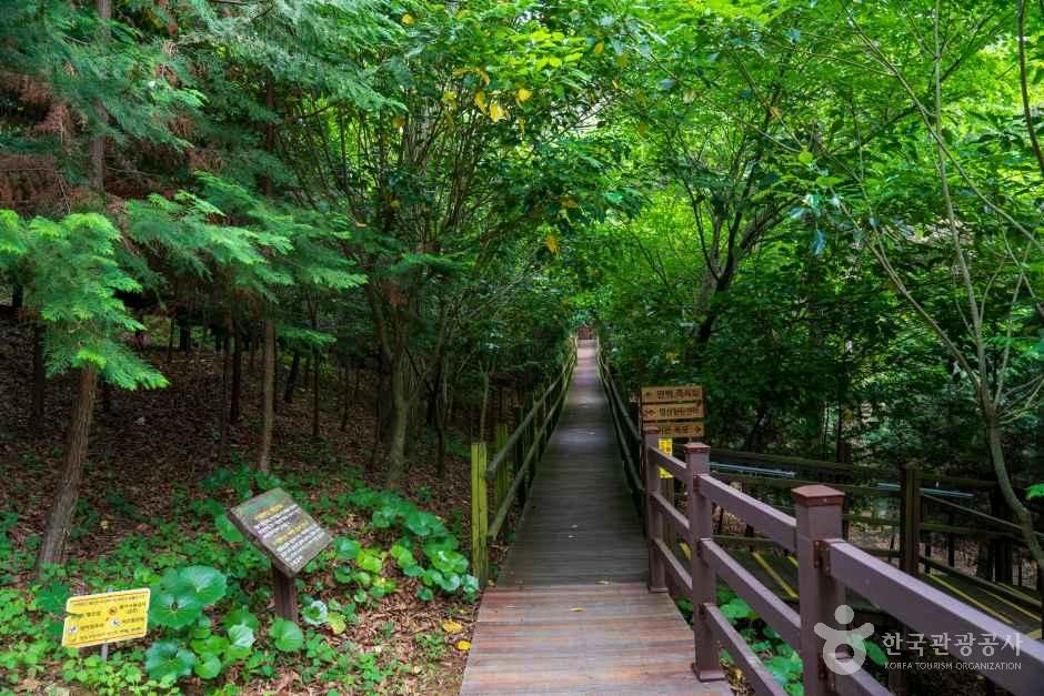 캔디투어[부산경남출발]전라남도 한바퀴 먹방투어1박 숙박 식사 맛있는 버스여행