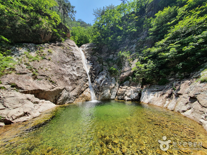 캔디투어[부산경남출발]설악산 케이블카+삼척 해양레일바이크 1박 2일 숙박 식사 가을버스여행