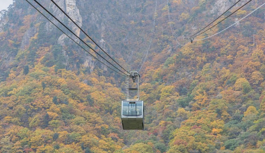 캔디투어[부산경남출발]설악산 케이블카+삼척 해양레일바이크 1박 2일 숙박 식사 가을버스여행