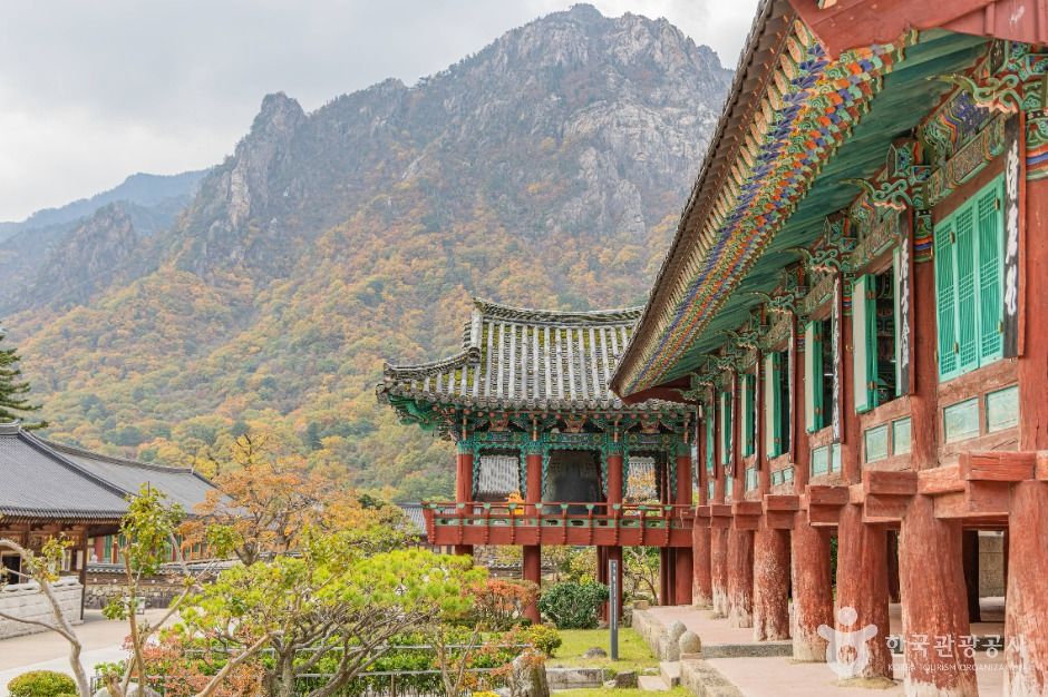 캔디투어[부산경남출발]설악산 케이블카+삼척 해양레일바이크 1박 2일 숙박 식사 가을버스여행