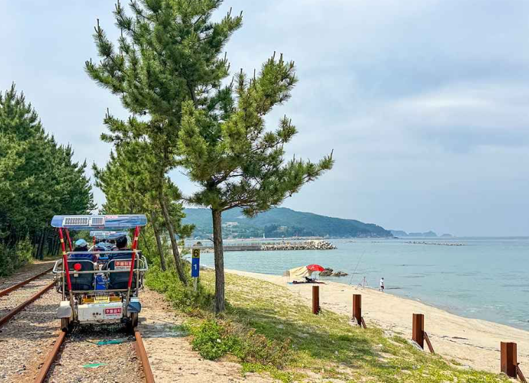 캔디투어[부산경남출발]설악산 케이블카+삼척 해양레일바이크 1박 2일 숙박 식사 가을버스여행