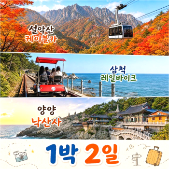 캔디투어[부산경남출발]설악산 케이블카+삼척 해양레일바이크 1박 2일 숙박 식사 가을버스여행