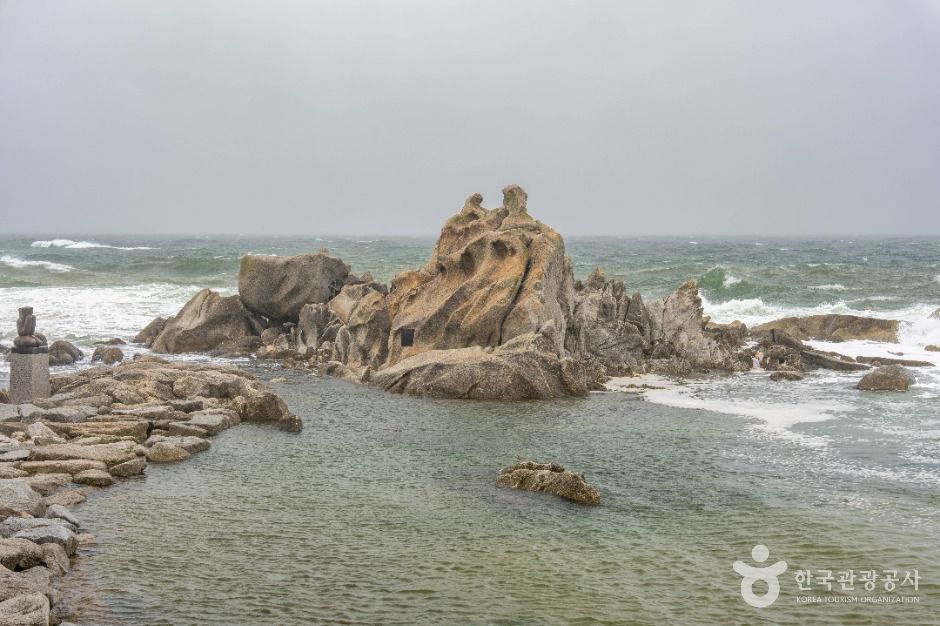 캔디투어[부산경남출발]설악산 케이블카+삼척 해양레일바이크 1박 2일 숙박 식사 가을버스여행