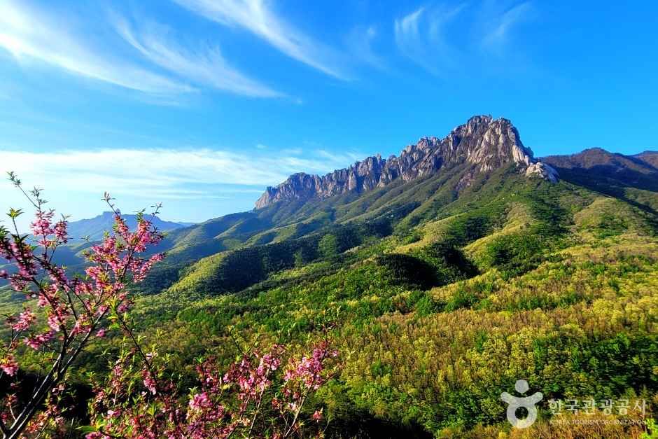 캔디투어[부산경남출발]설악산 케이블카+삼척 해양레일바이크 1박 2일 숙박 식사 가을버스여행