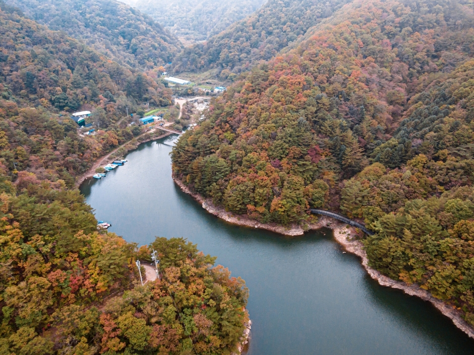 캔디투어[부산경남출발]화천 비수구미 오지마을+춘천 남이섬 1박 2일 숙박 식사 가을버스여행