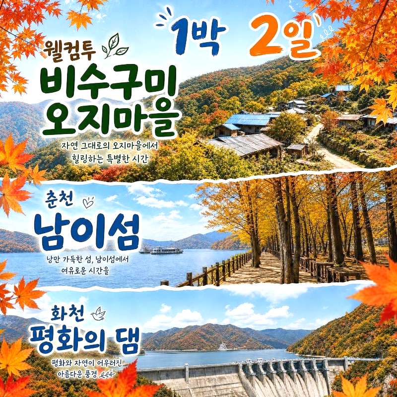 캔디투어[부산경남출발]화천 비수구미 오지마을+춘천 남이섬 1박 2일 숙박 식사 가을버스여행