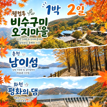 캔디투어[부산경남출발]화천 비수구미 오지마을+춘천 남이섬 1박 2일 숙박 식사 가을버스여행