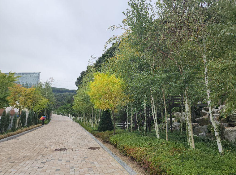 캔디투어[부산경남출발]경기도 한바퀴 힐링여행 화담숲 단풍 1박 2일 국내여행