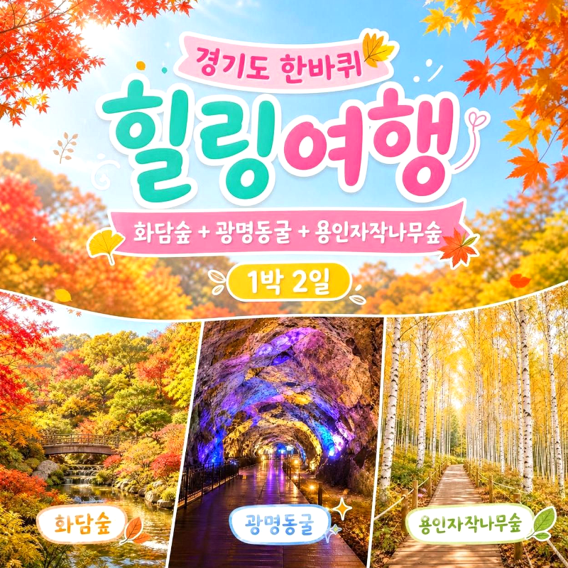 캔디투어[부산경남출발]경기도 한바퀴 힐링여행 화담숲 단풍 1박 2일 국내여행