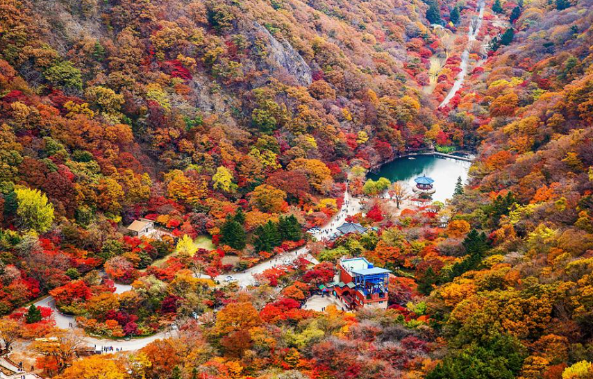 캔디여행사[부산출발]정읍 내장산 단풍여행 당일치기 버스투어 힐링명소 가볼만한곳 경남출발