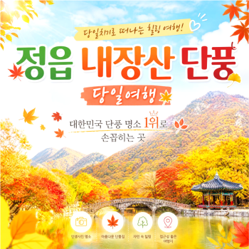 캔디여행사[부산출발]정읍 내장산 단풍여행 당일치기 버스투어 힐링명소 가볼만한곳 경남출발