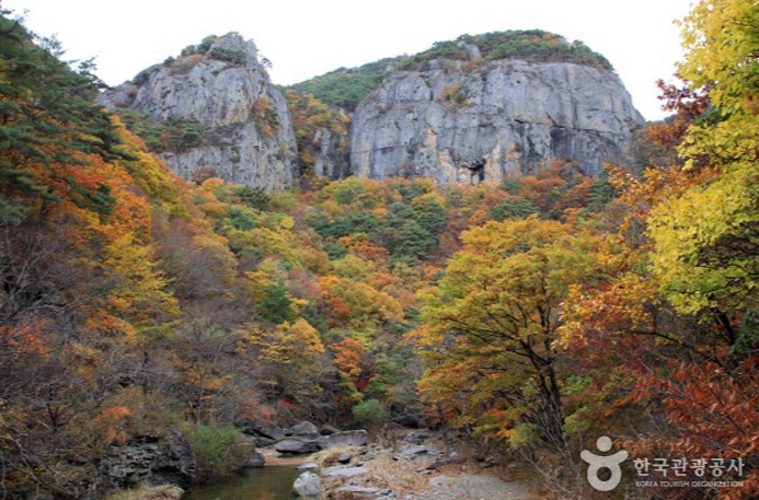 캔디여행사[부산출발]청송 주왕산+주산지단풍 당일여행