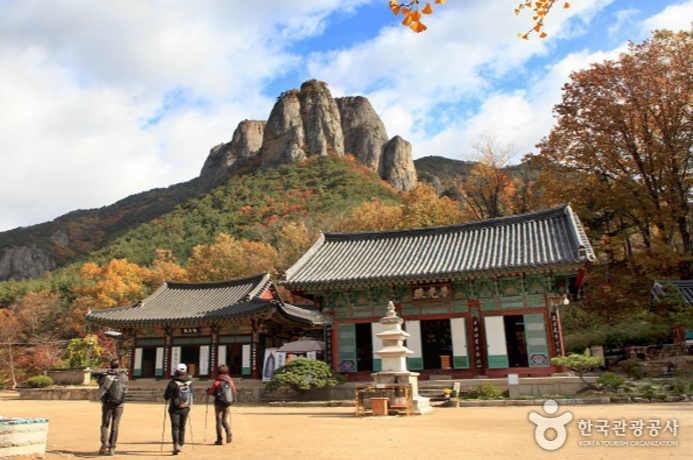 캔디여행사[부산출발]청송 주왕산+주산지단풍 당일여행