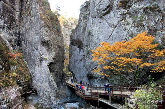 캔디여행사[부산출발]청송 주왕산+주산지단풍 당일여행