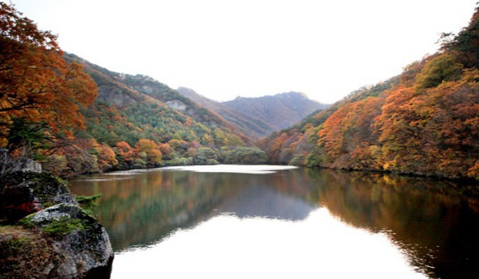 캔디여행사[부산출발]청송 주왕산+주산지단풍 당일여행