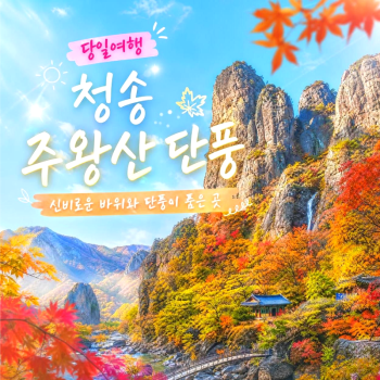 캔디여행사[부산출발]청송 주왕산+주산지단풍 당일여행