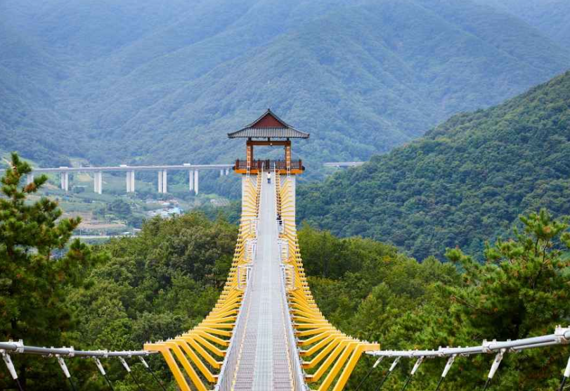 캔디여행사[부산출발]문경 봉천사 개미취꽃축제+봉명산 출렁다리 당일여행