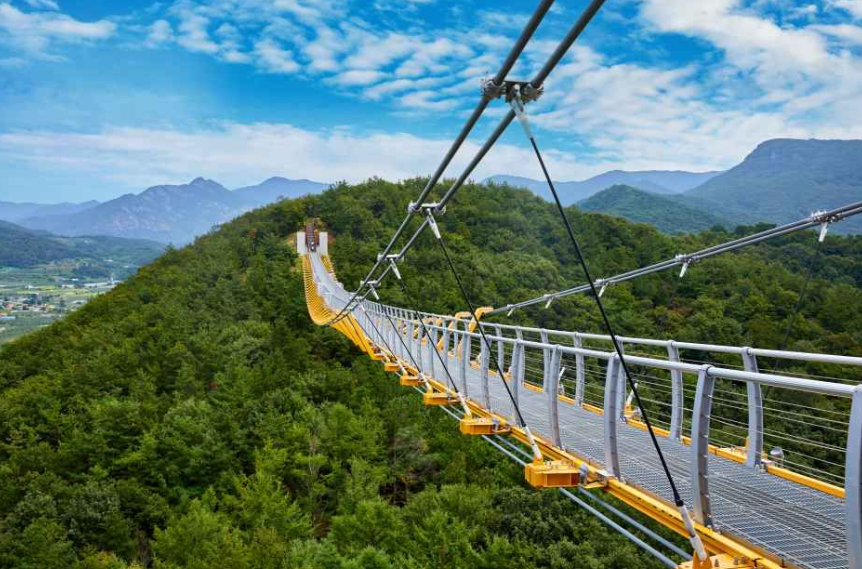 캔디여행사[부산출발]문경 봉천사 개미취꽃축제+봉명산 출렁다리 당일여행