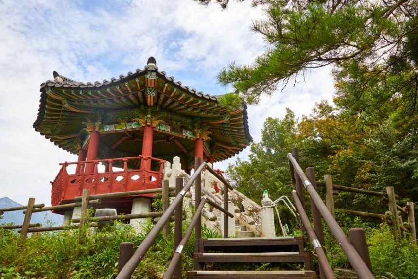 캔디여행사[부산출발]문경 봉천사 개미취꽃축제+봉명산 출렁다리 당일여행