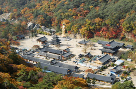 캔디여행사[부산출발]보은 속리산 세조길 단풍 당일여행
