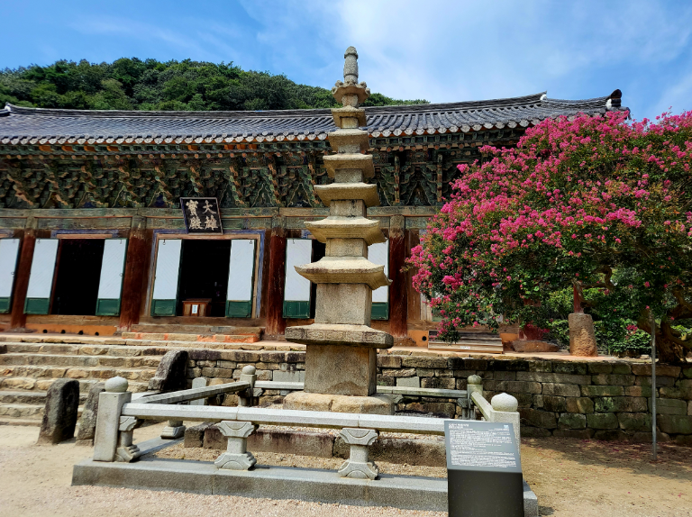 캔디여행사[부산출발]고창 핑크뮬리축제+선운사 단풍 당일여행