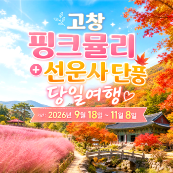 캔디여행사[부산출발]고창 핑크뮬리축제+선운사 단풍 당일여행