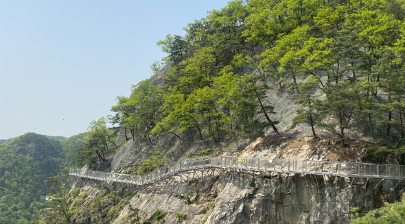 캔디여행사[부산출발]원주 소금산 그랜드밸리+박경리문학관 당일버스여행