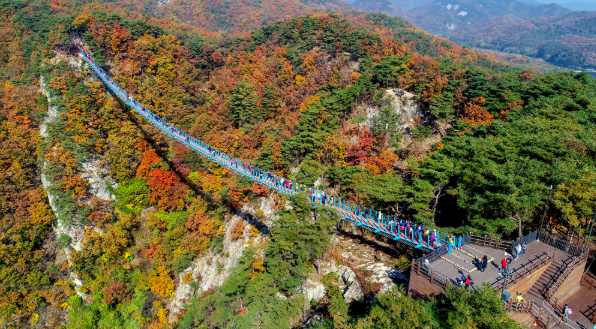 캔디여행사[부산출발]원주 소금산 그랜드밸리+박경리문학관 당일버스여행