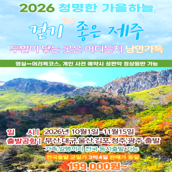 캔디투어[부산출발]26년 가을꽃길 제주도 걷기 좋은 한라산 등반 3박4일