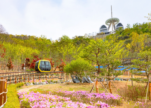 캔디투어[부산경남출발]강화도 심도기행 1박 2일 가을 단풍 버스여행
