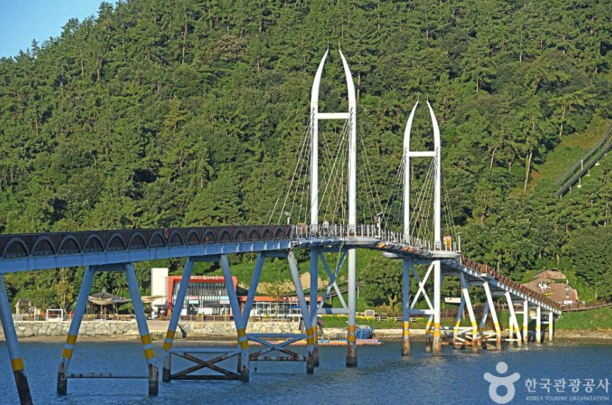 캔디여행사[부산출발]강진만 춤추는 갈대축제+가우도출렁다리 당일버스여행
