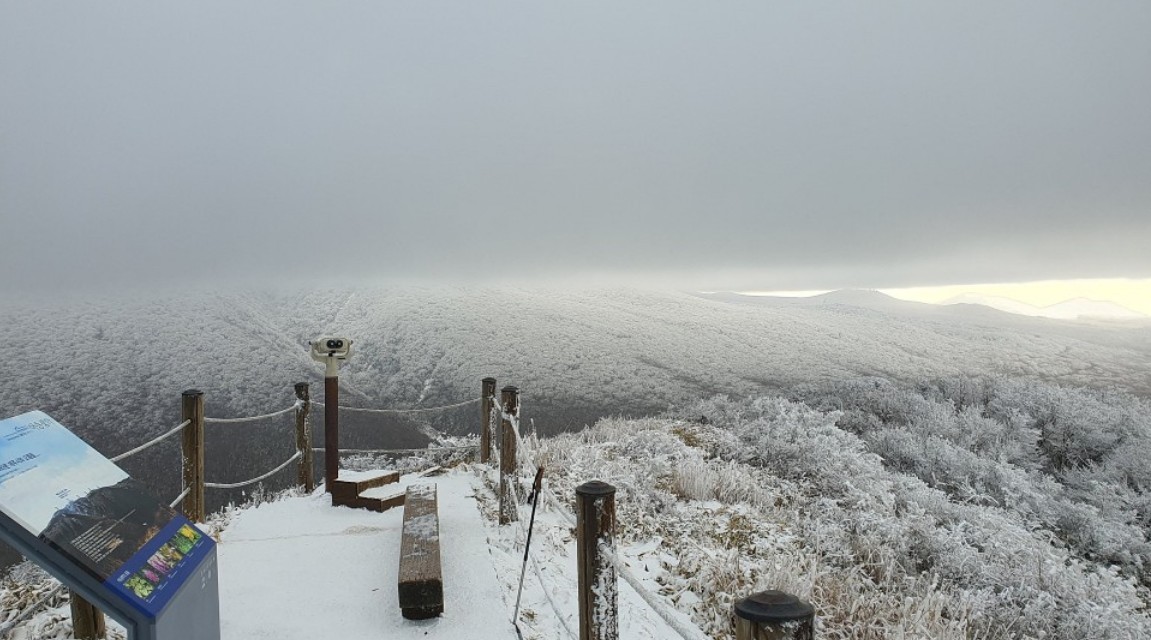 캔디투어[부산출발]26년 제주도 동백꽃필무렵 2일/3일/4일 동백꽃길투어 노팁노옵션